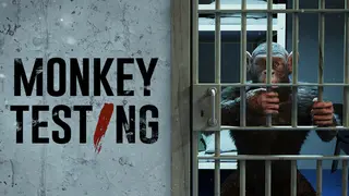 Monkey Testing