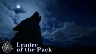 Leader of the Pack