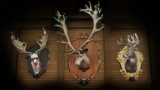 theHunter: Call of the Wild - Premium Trophy Mount Pack - Xbox One