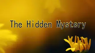 The Hidden Mystery
