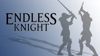 EndLess Knight