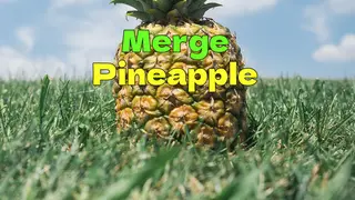 Merge Pineapple
