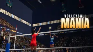 Volleyball Mania