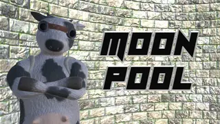 Moon Pool
