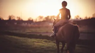 Stable Stories - Forest and Meadow Ride - Xbox One & Series