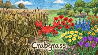 Crabgrass