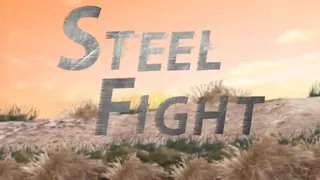 Steel Fight