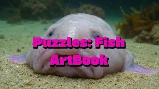 Puzzles Fish Artbook