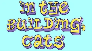 IN THE BUILDING: CATS