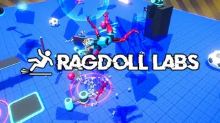 Ragdoll LABS