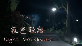 Night Whispers