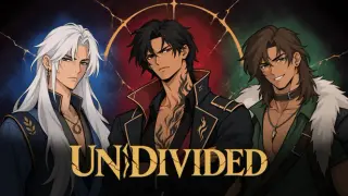UNDIVIDED