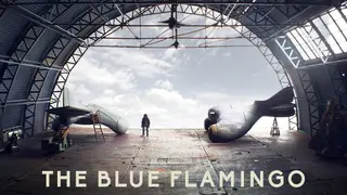The Blue Flamingo
