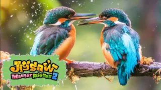 Birds in Vibrant Colors - Switch