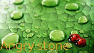 Angry stone