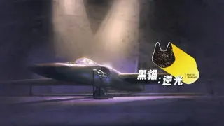 黑貓：逆光｜Black Cat：Back Light