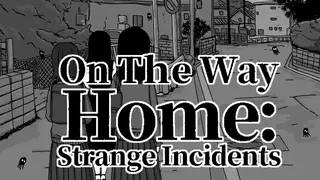 On The Way Home : Strange Incidents