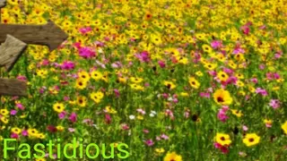 Fastidious