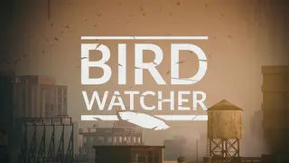 Bird Watcher