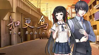 知更鸟-The Robin