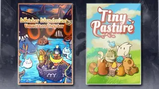 Whisker Wanderlust: Unwritten Chapter & Tiny Pasture