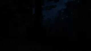 Fear Of Nightmares: Madness Descent