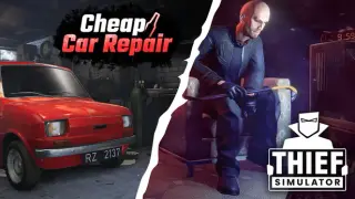 Cheap Car Thief