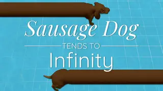Sausage Dog Tends To Infinity