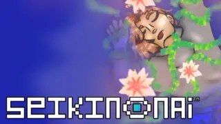 SEIKINONAI