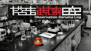 Observation Daruma Log