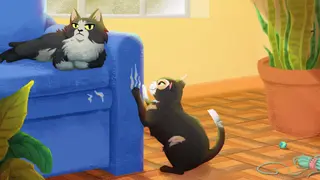 Roll The Cat (Xbox One & Series)