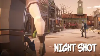 Night shot