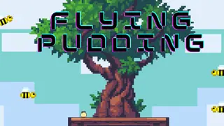 FLYING PUDDING