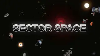 Sector Space