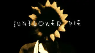 Sunflower Pie