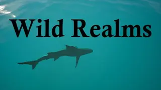 Wild Realms