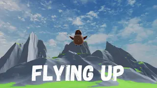 Flying Up