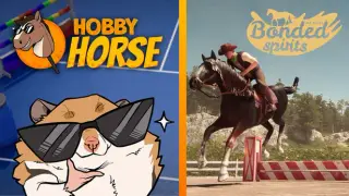 My Hobby Horse Ride