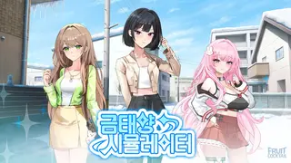 금태양 시뮬레이터