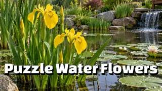Puzzle Water Flowers