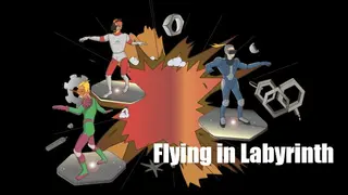 Flying in Labyrinth