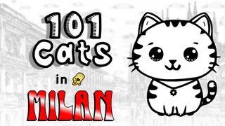 101 Cats in Milan