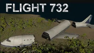 Flight 732