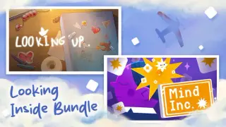 Looking Inside Bundle