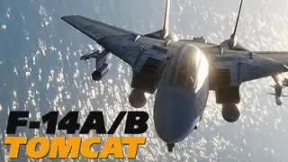 DCS: F-14 by Heatblur Simulations