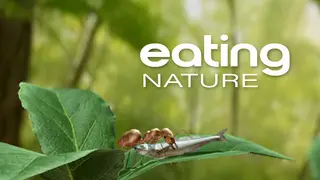 Eating Nature