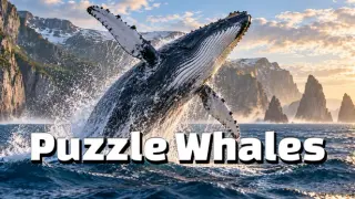 Puzzle Whales