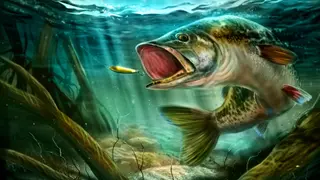 Ultimate Fishing Simulator - Xbox One
