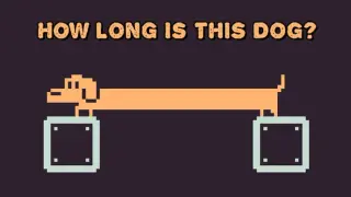 How Long Is This Dog?