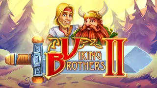 Viking Brothers 2